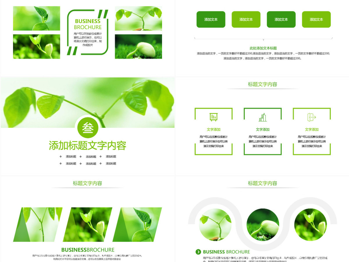 原创唯美绿色植物发芽植物生长敬畏生命PPT模板-版权可商用 原创唯美绿色植物发芽植物生长敬畏生命PPT模板-版权可商用