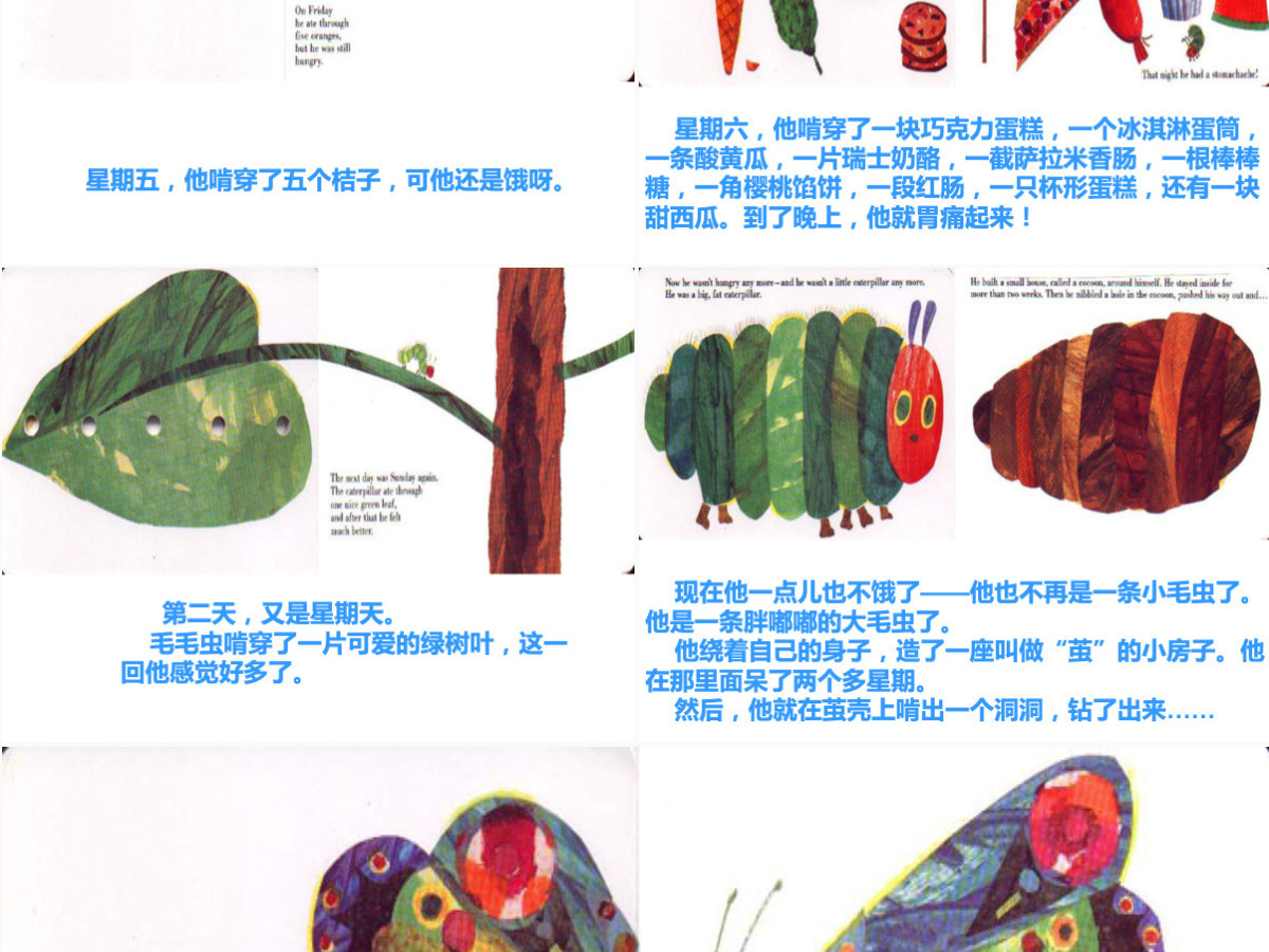  《好饿的毛毛虫》绘本故事PPT课件