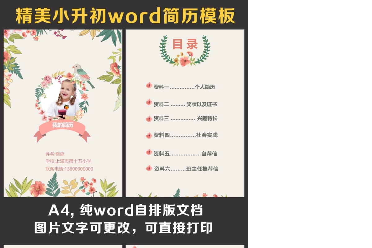小升初简历