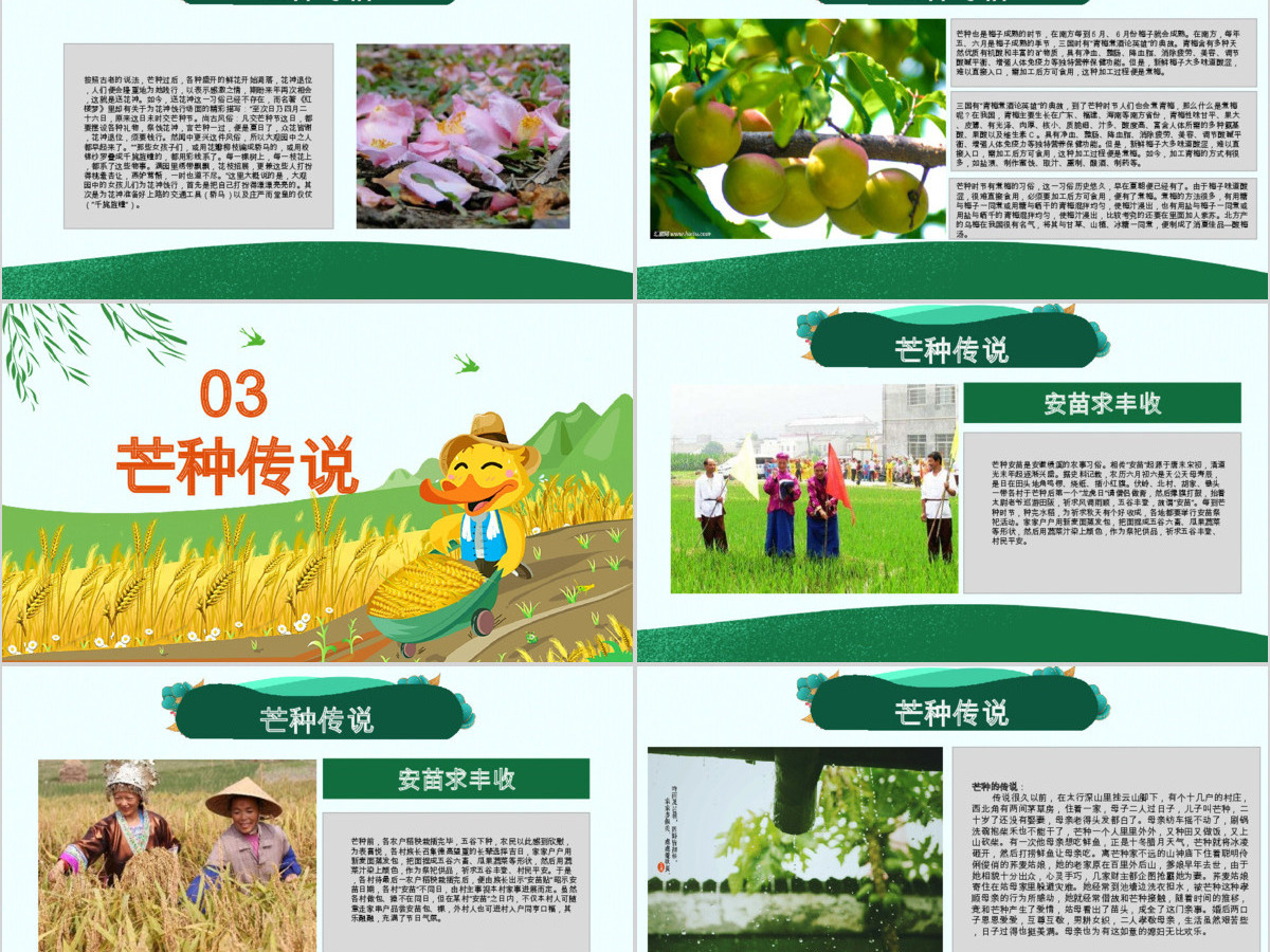 原创绿色清新芒种节气中国二十四节气PPT班会-版权可商用 原创绿色清新芒种节气中国二十四节气PPT班会-版权可商用