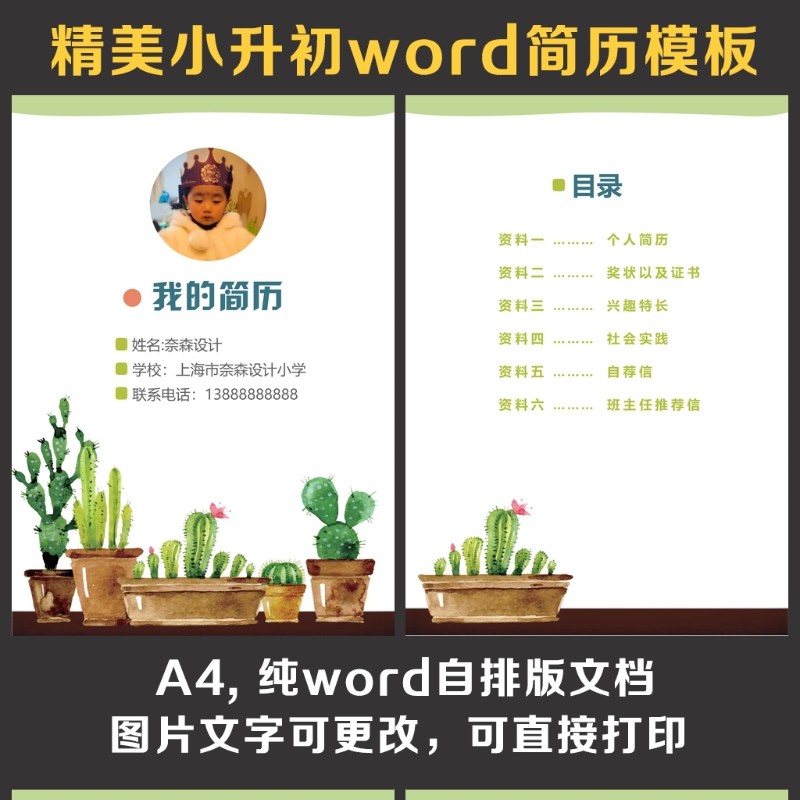 小升初简历