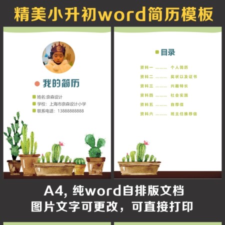 小升初简历