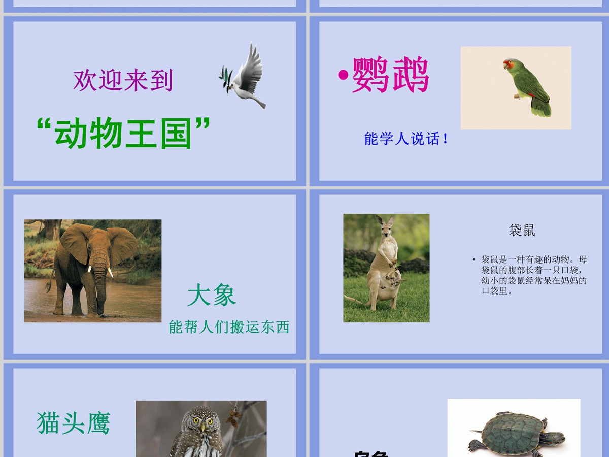 2022有趣的动物清新创意口语交际小学二年级语文上册人教版教学课件PPT