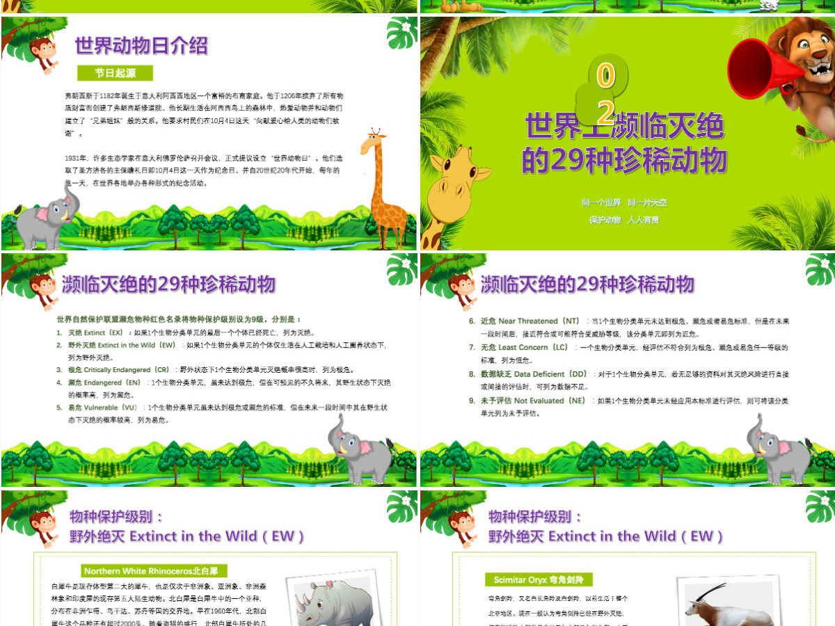 世界动物日介绍保护动物ppt 世界动物日介绍保护动物ppt