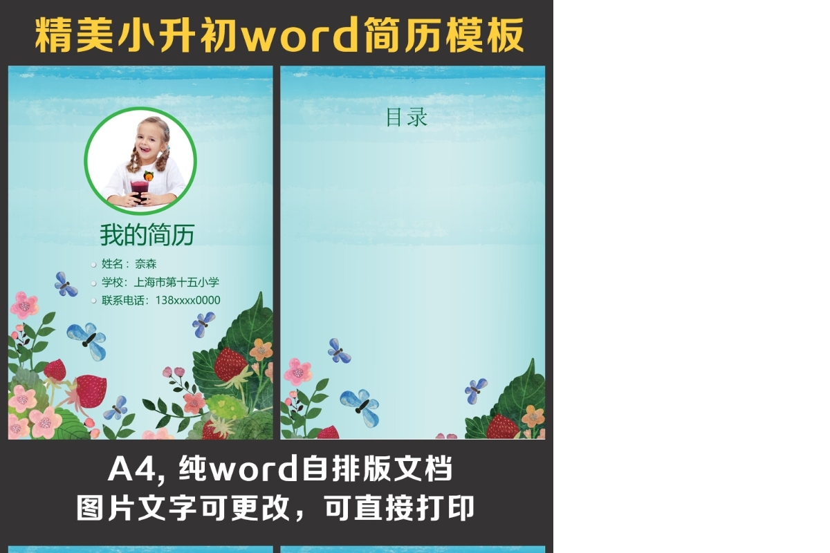 小升初简历