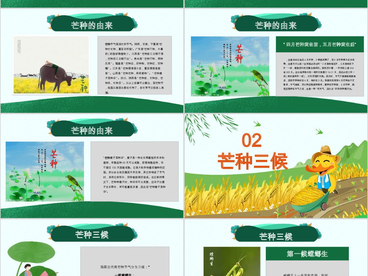 原创绿色清新芒种节气中国二十四节气PPT班会-版权可商用 原创绿色清新芒种节气中国二十四节气PPT班会-版权可商用