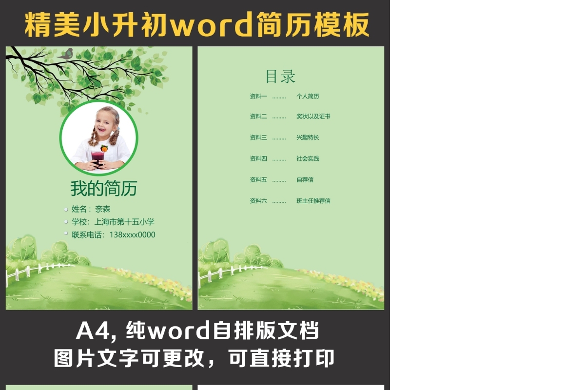 小升初简历