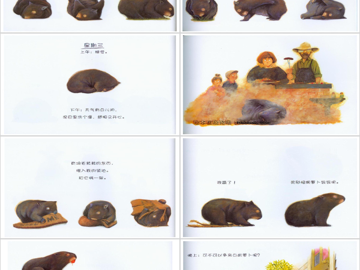 袋熊日记绘本课件 袋熊日记绘本课件