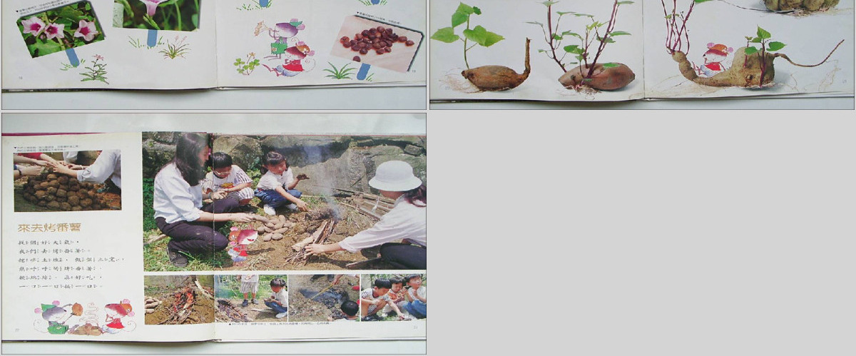 番薯PPT绘本课件