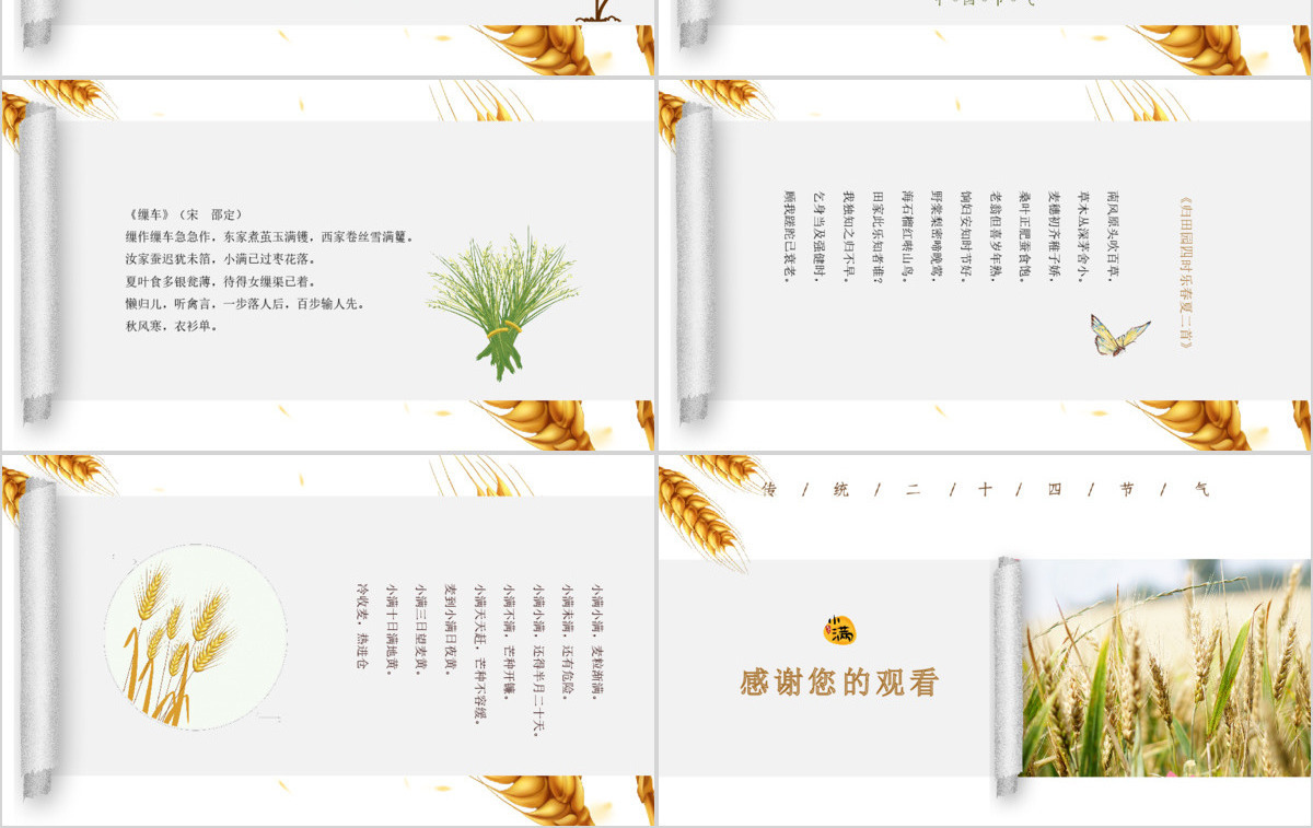 简约风麦穗中国二十四节气小满介绍PPT模板