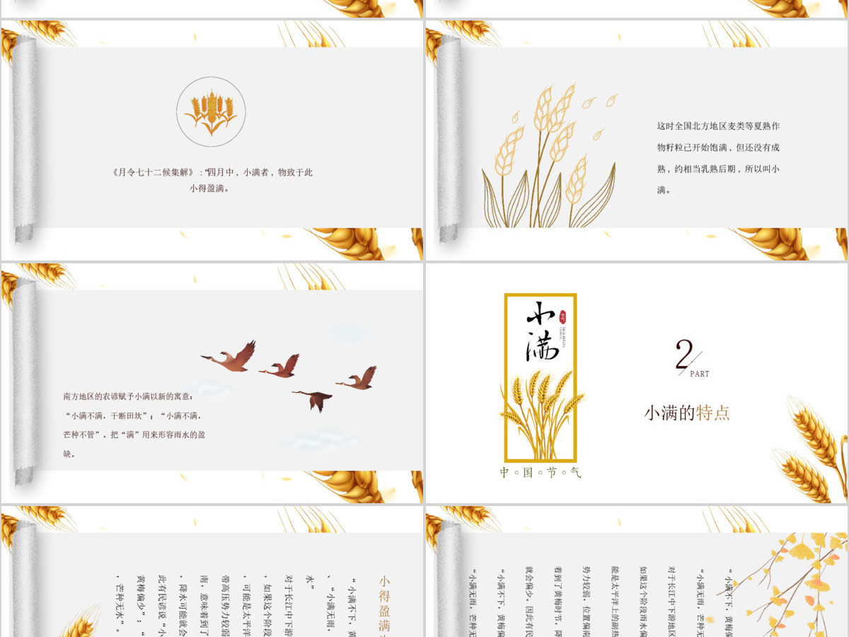 简约风麦穗中国二十四节气小满介绍PPT模板 简约风麦穗中国二十四节气小满介绍PPT模板
