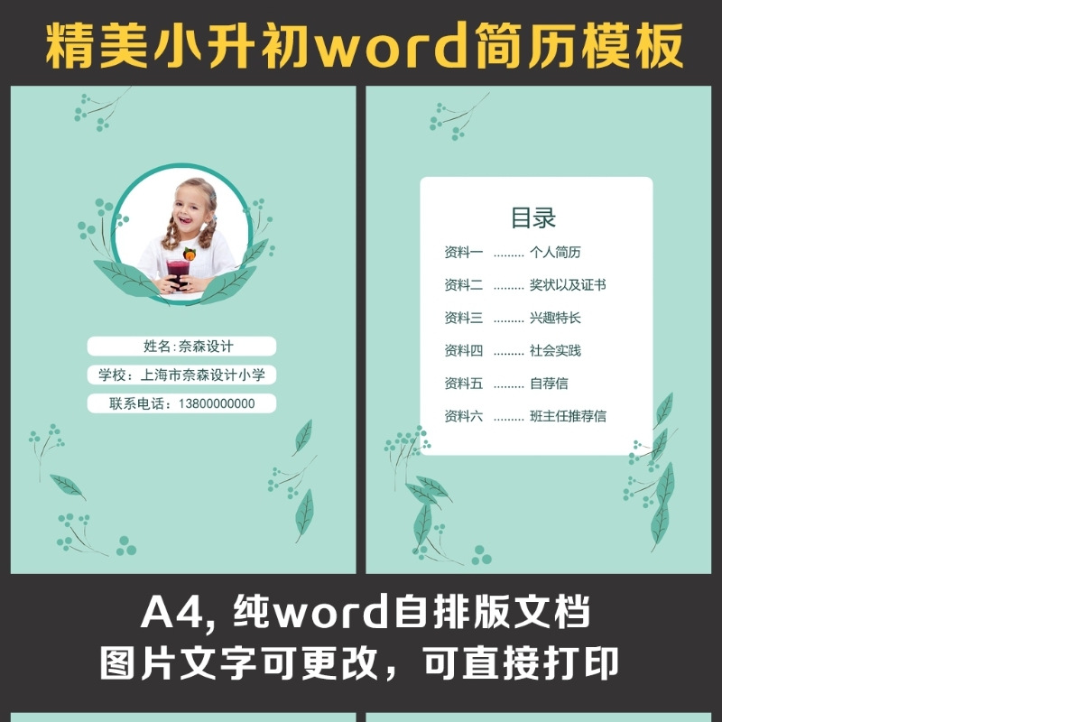 小升初简历