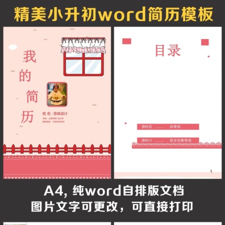 小升初简历
