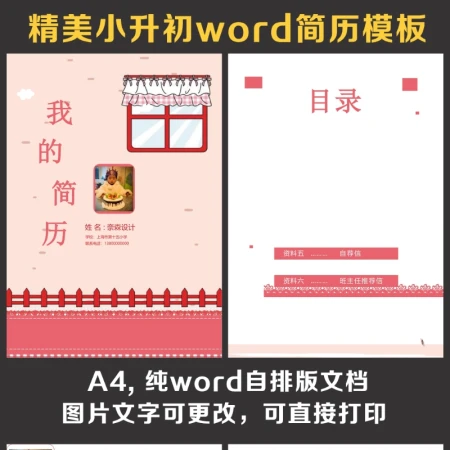 小升初简历