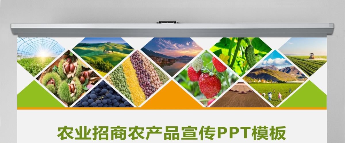 农业招商农产品宣传PPT