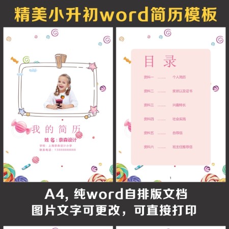 小升初简历