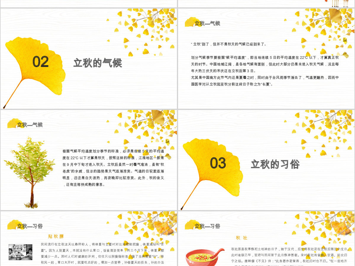 2020简约古风银杏立秋二十四节气PPT模板下载