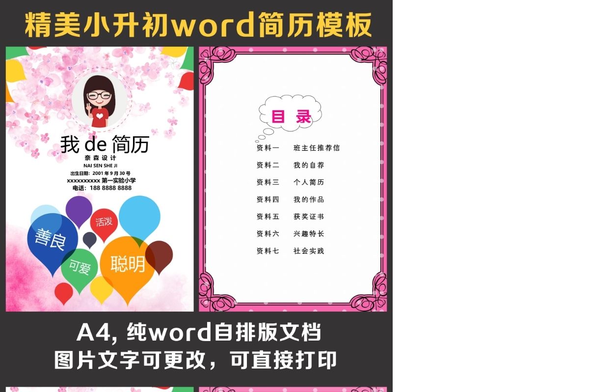 小升初简历
