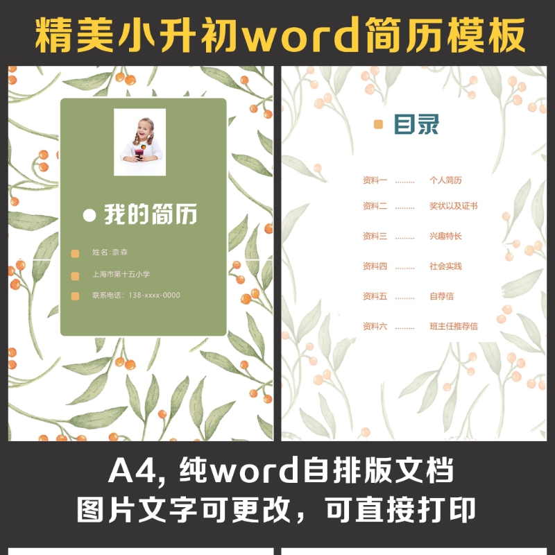 小升初简历