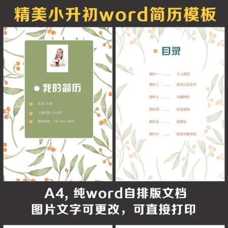 小升初简历