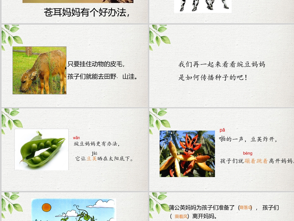 2022植物妈妈有办法简约卡通课文第3课小学二年级语文上册人教版教学课件PPT 2022植物妈妈有办法简约卡通课文第3课小学二年级语文上册人教版教学课件PPT