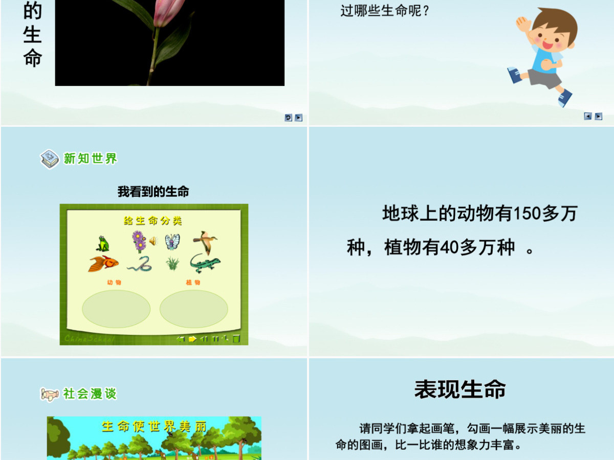 品德与社会四上美丽的生命PPT课件 品德与社会四上美丽的生命PPT课件
