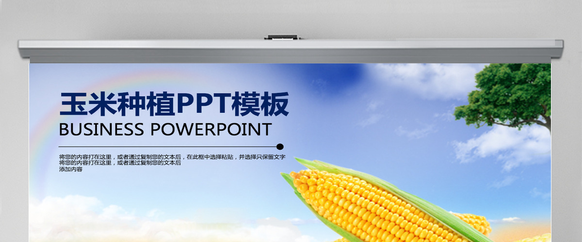 农业玉米种子新农村动态PPT模板 农业玉米种子新农村动态PPT模板