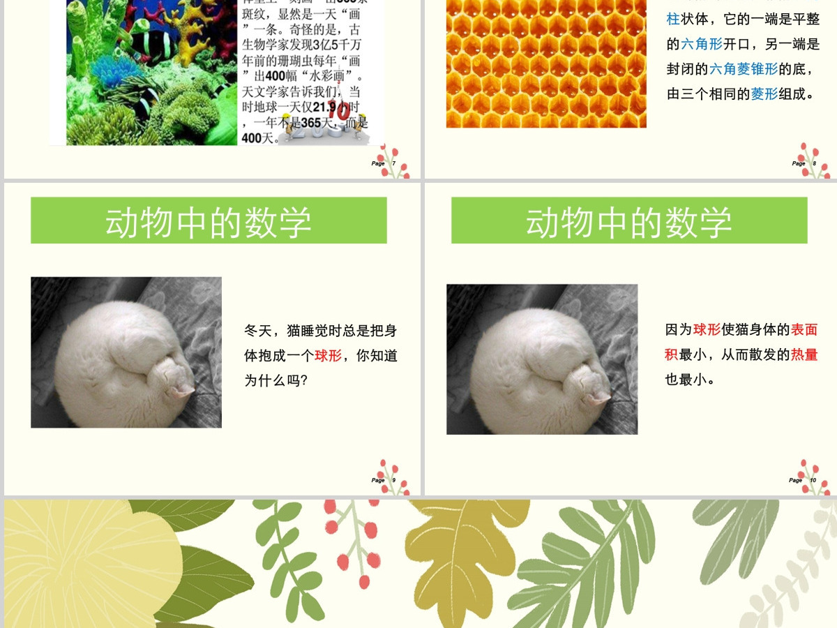 小学数学开学第一课 PPT