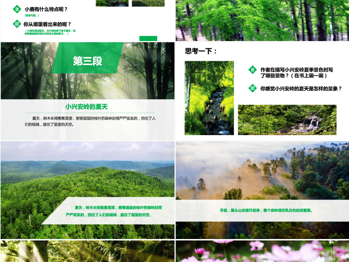 三年级语文美丽的小兴安岭课件PPT模板 三年级语文美丽的小兴安岭课件PPT模板