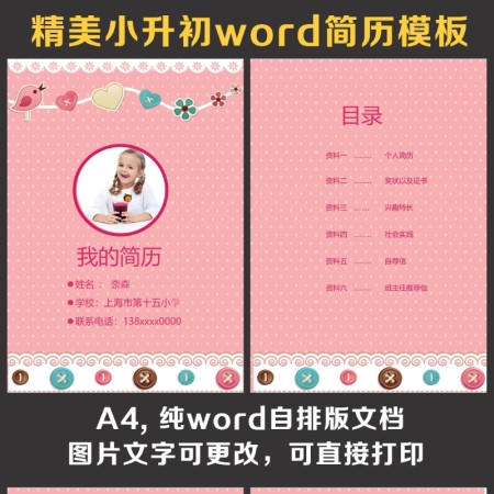 小升初简历