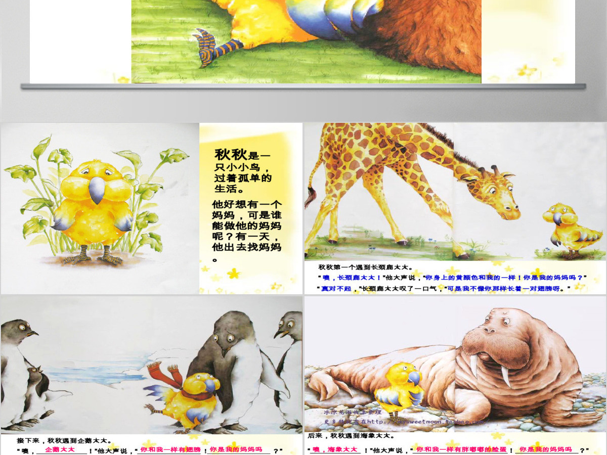 秋秋找妈妈幼儿绘本教育课件 秋秋找妈妈幼儿绘本教育课件