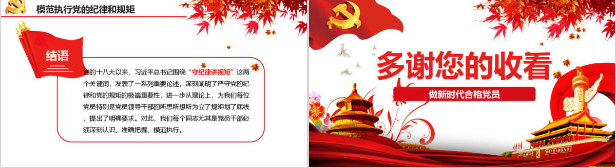 新时代合格党员守规矩讲纪律PPT模板