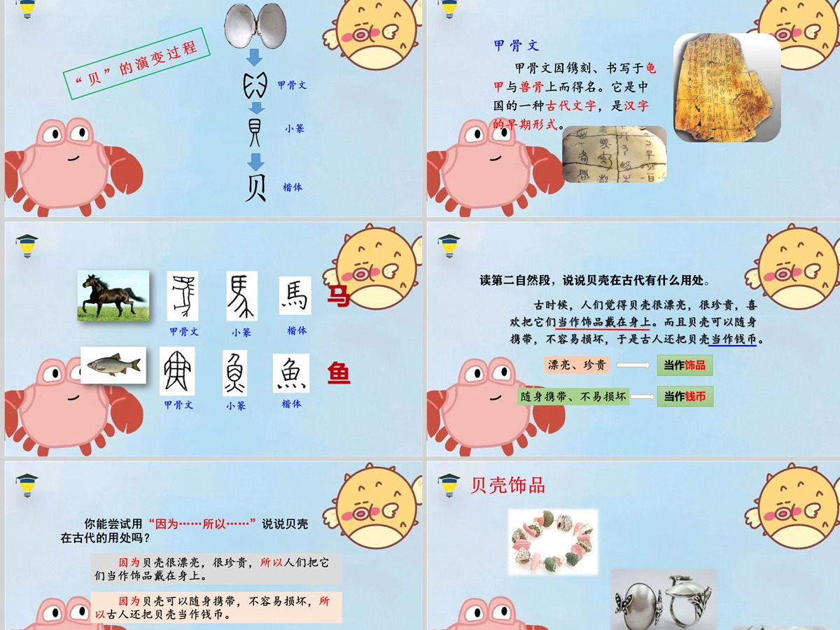 2022“贝”的故事识字第3课小学二年级语文下册部编人教版教学课件PPT