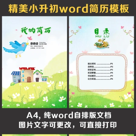 小升初简历