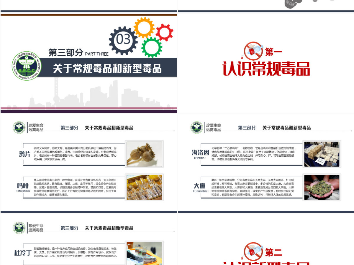 2021国际禁毒日珍爱生命远离毒品禁毒拒毒教育通用模板