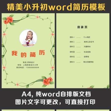 小升初简历