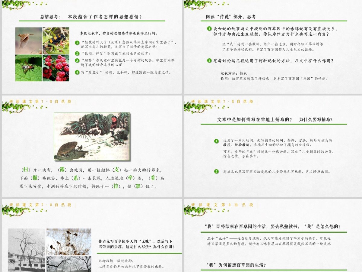 初中语文【从百草园到三味书屋】课件PPT 初中语文【从百草园到三味书屋】课件PPT