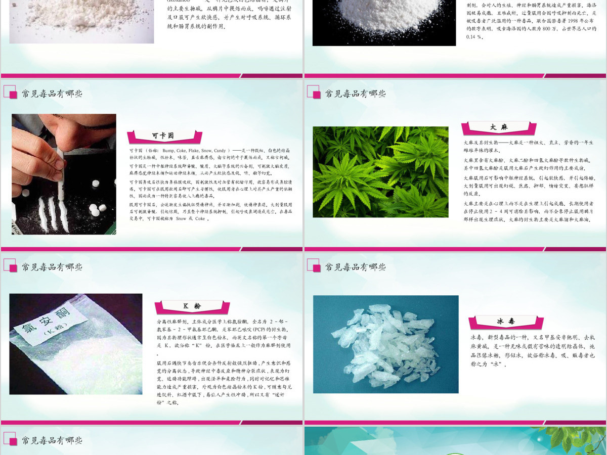 原创2019国际禁毒日宣传介绍主题班会ppt-版权可商用