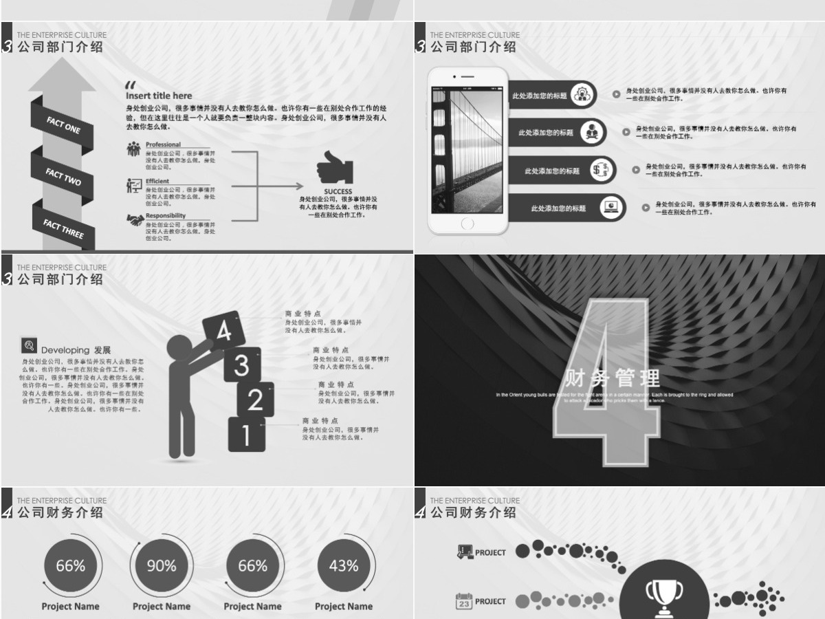 黑色商务大气项目创业计划书（含倒计时）