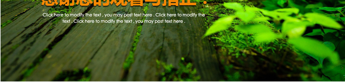 原创绿色环保世界湿地森林日动态PPT模板-版权可商用
