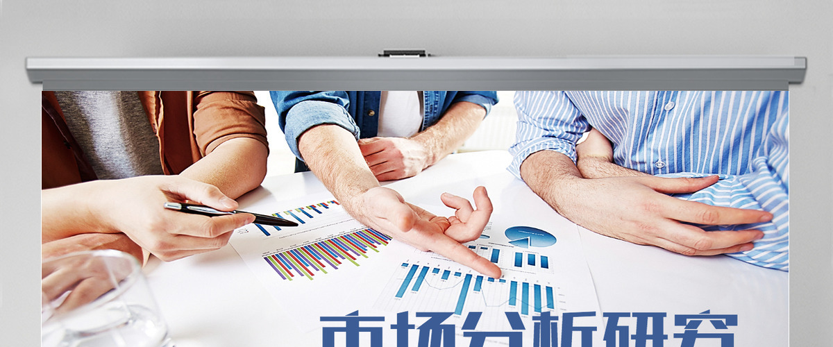 会议分析报告市场分析研究市场调研ppt 会议分析报告市场分析研究市场调研ppt