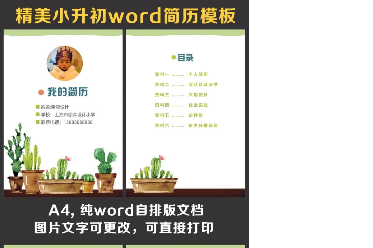 小升初简历