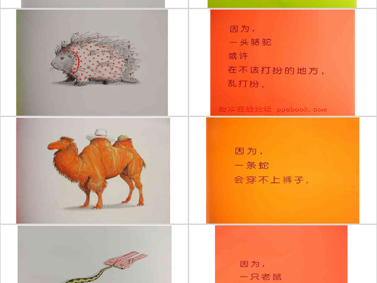 动物绝对不应该穿衣服 动物绝对不应该穿衣服