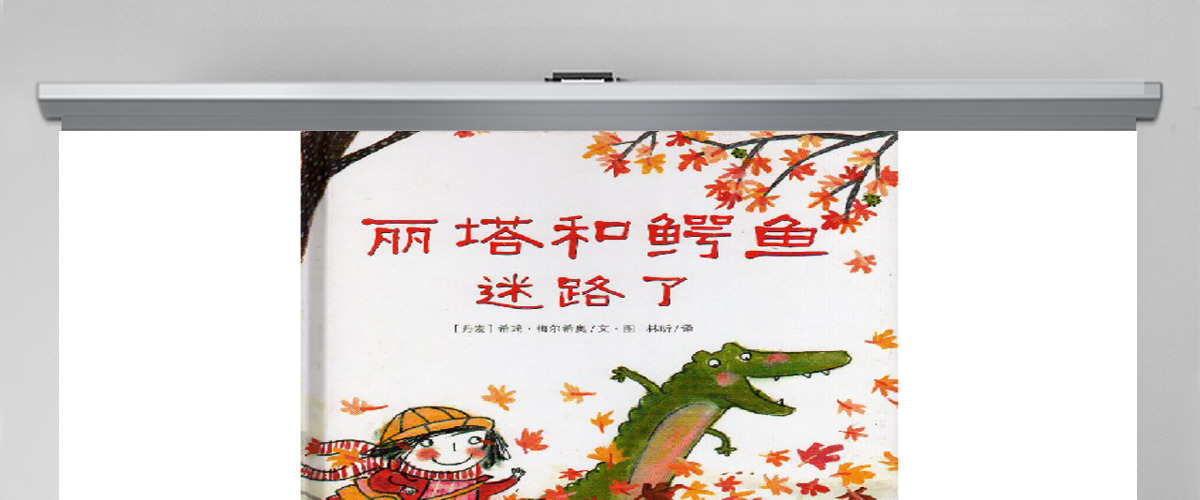 丽塔和鳄鱼迷路了绘本
