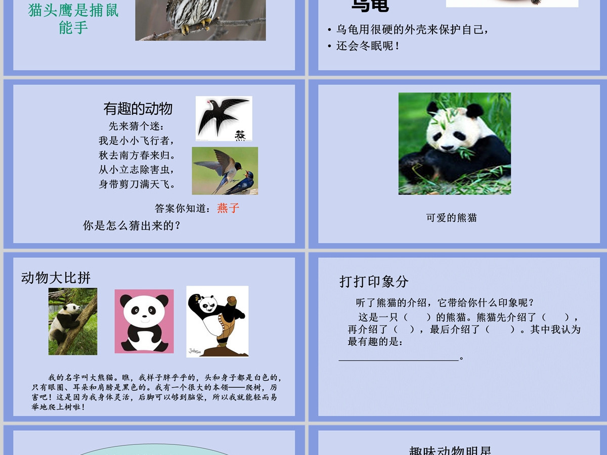 2022有趣的动物清新创意口语交际小学二年级语文上册人教版教学课件PPT