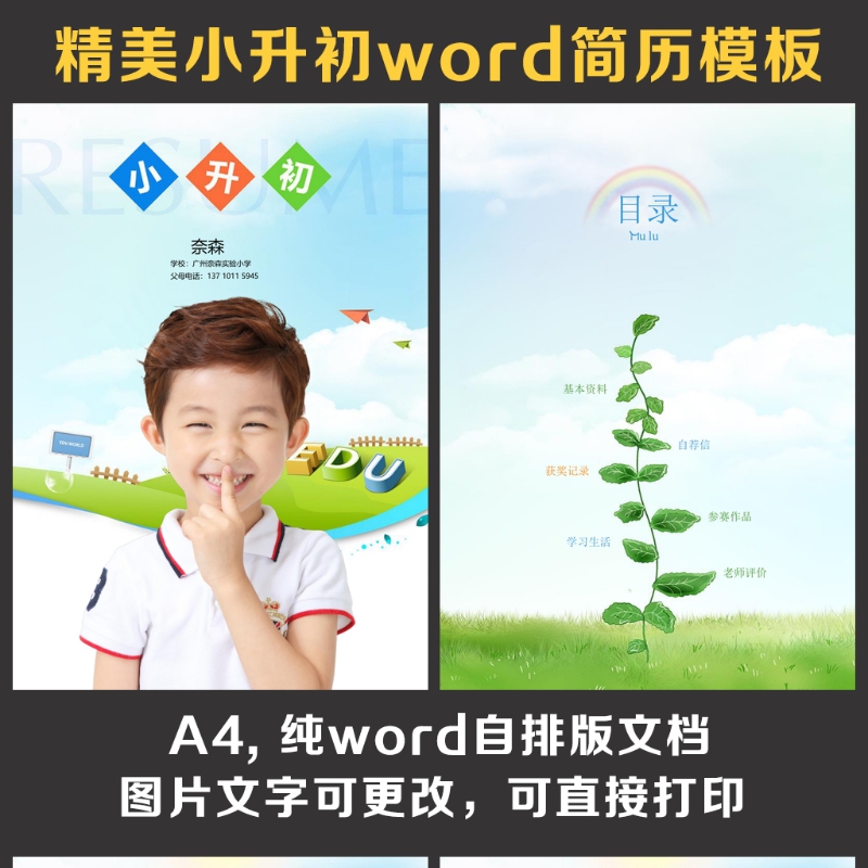 小升初简历