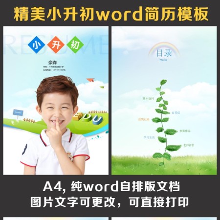 小升初简历