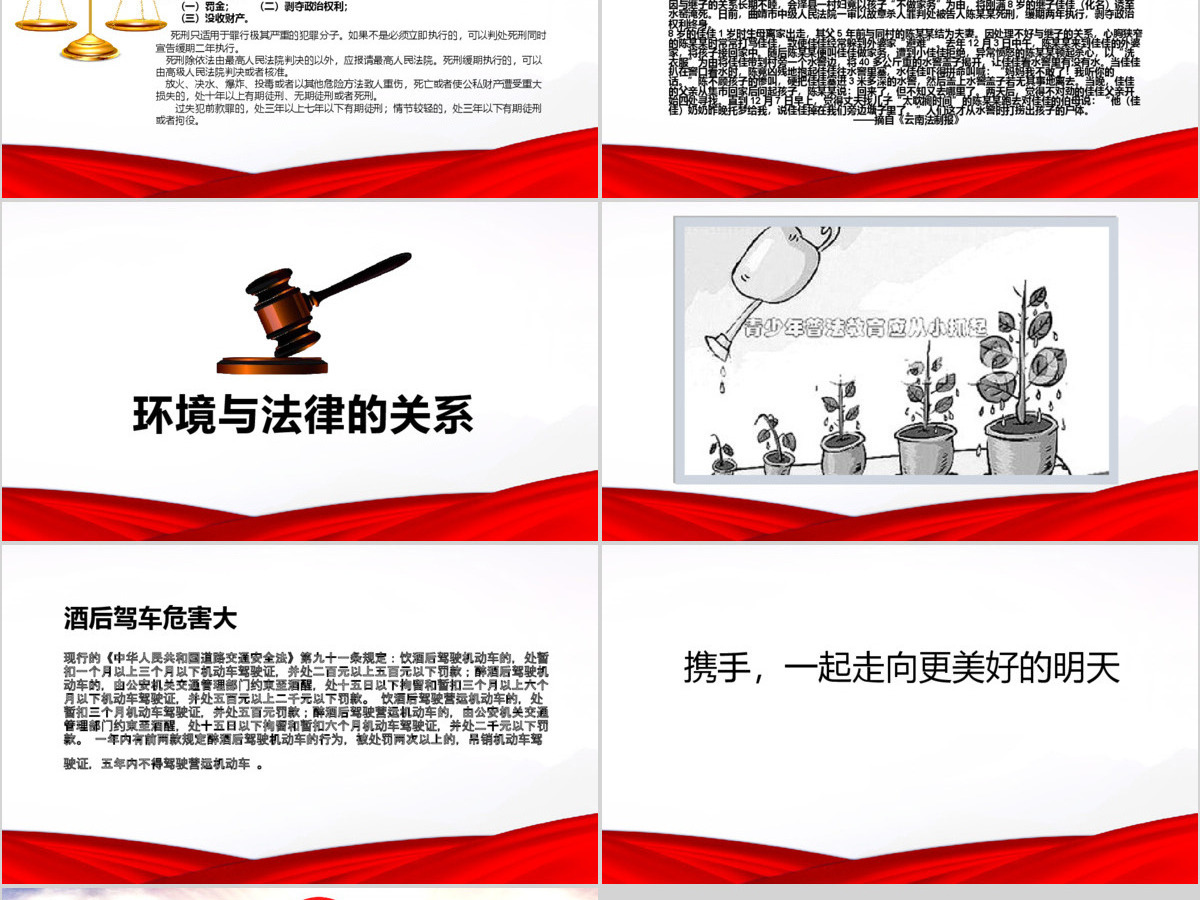 精美大气法制宣传日普法宪法会议报告PPT