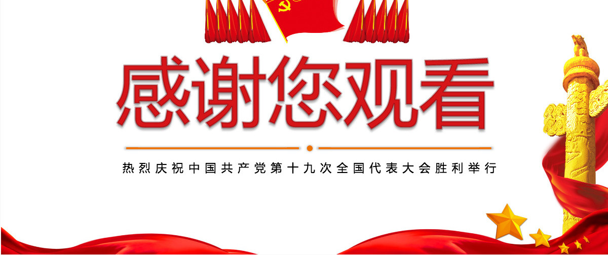 党委党政做合格党员喜迎十九大PPT模板