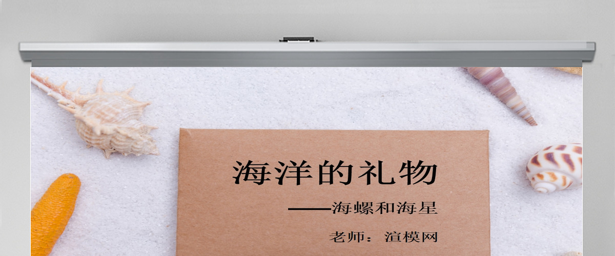 第九课海螺和海星岭南版一年级下册美术ppt 第九课海螺和海星岭南版一年级下册美术ppt